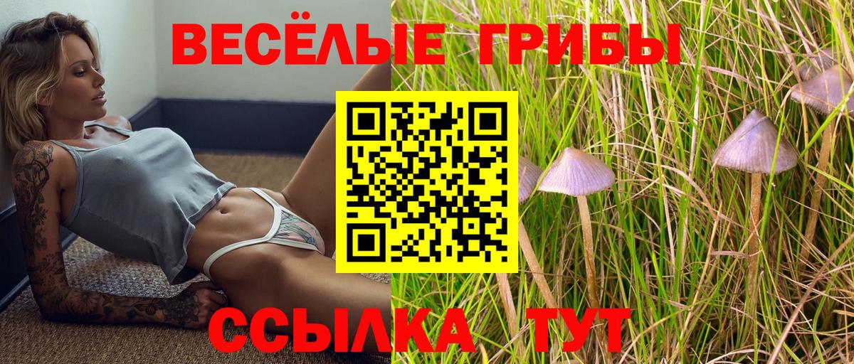 Галлюциногенные грибы Psilocybe  Псилоцибиновые грибы MAGIC MUSHROOMS  Шадринск  Вход с VPN 